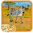 thumbnail image 2 of Schleich - 14810 | Wild Life: Zebra, Female, 2 of 6