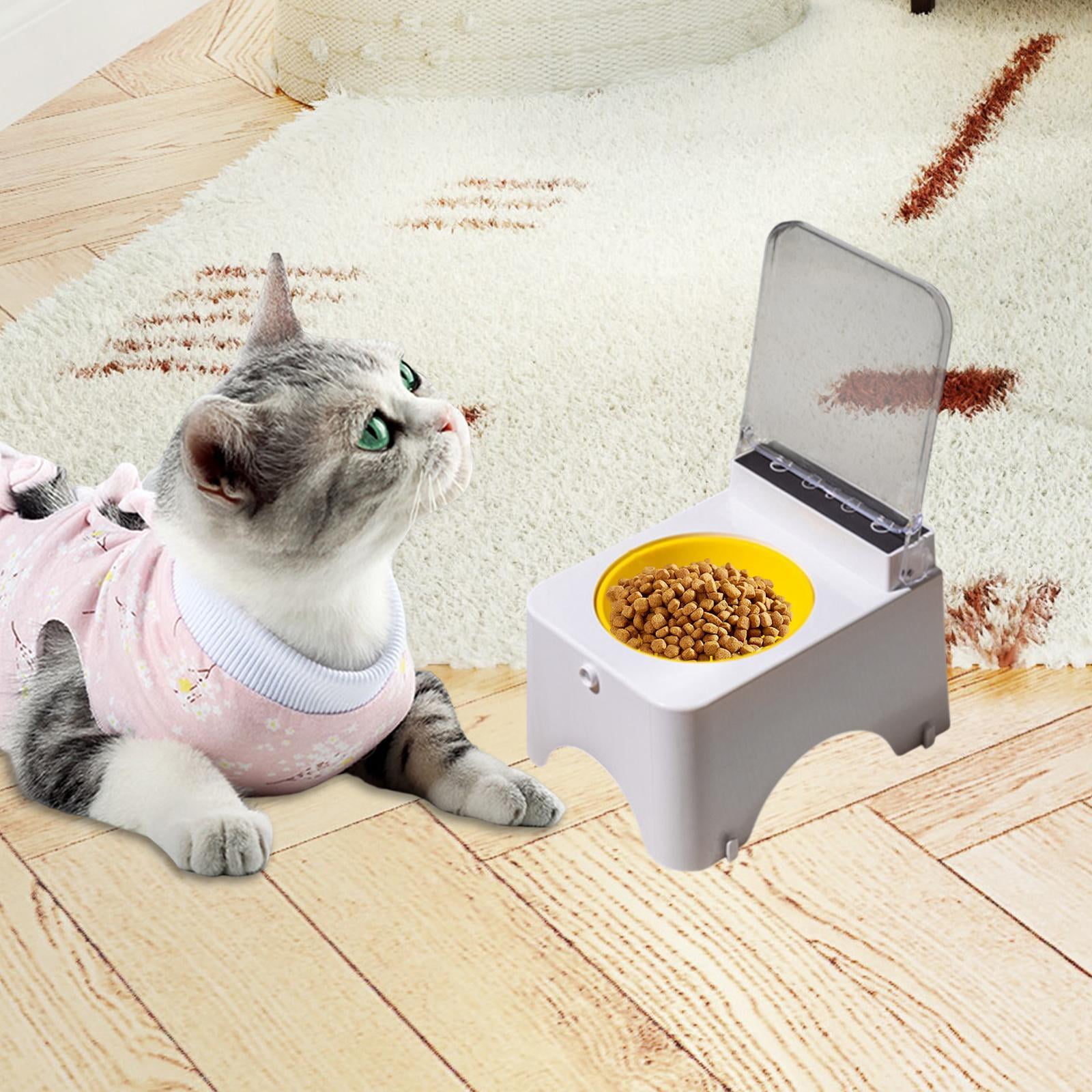 oshhni Cat Bowl with Raised Stand for Cats Dogs Neck Protection Cat Dog Food Feeder PP Bowl