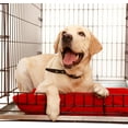 Large Dog Crate Tray 52" x 33" Inches Heavy Duty Metal Kennel Trays