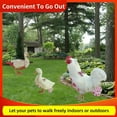 thumbnail image 6 of 3Pcs Washable Chicken Diapers for Hens, Reusable Duck Diapers for Real Ducks with Bow Tie Diapers,Chicken Duck Goose Diaper Pet for Hens Roosters Poultry,Waterproof Cloth Fabric Duck Diapers, 6 of 9