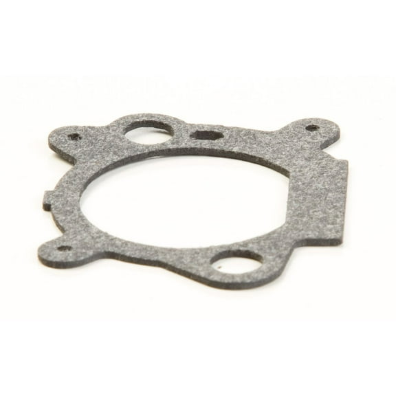 Briggs & Stratton Air Cleaner Gasket | 795629