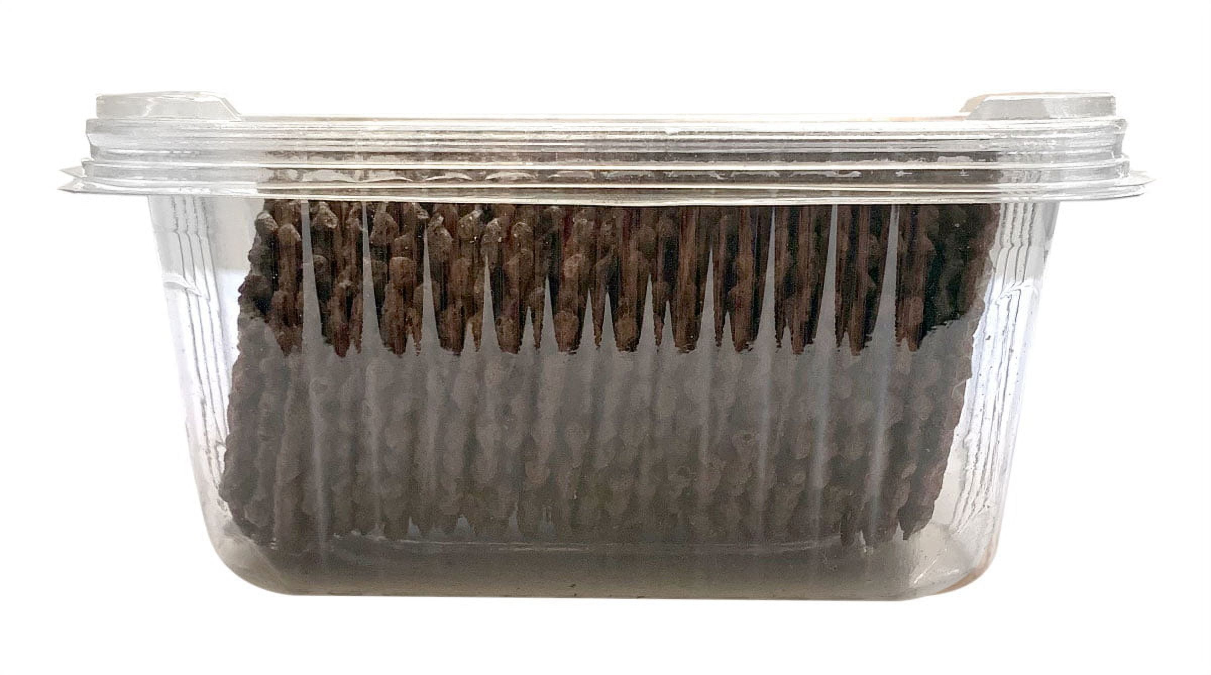 Reko Pizelle Chocolate Mini Pizzelle, Italian Waffle Cookie, Single pack, 9oz