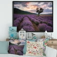 thumbnail image 2 of Designart 'Lavender Field At Sunrise III' Farmhouse Framed Canvas Wall Art Print, 2 of 5