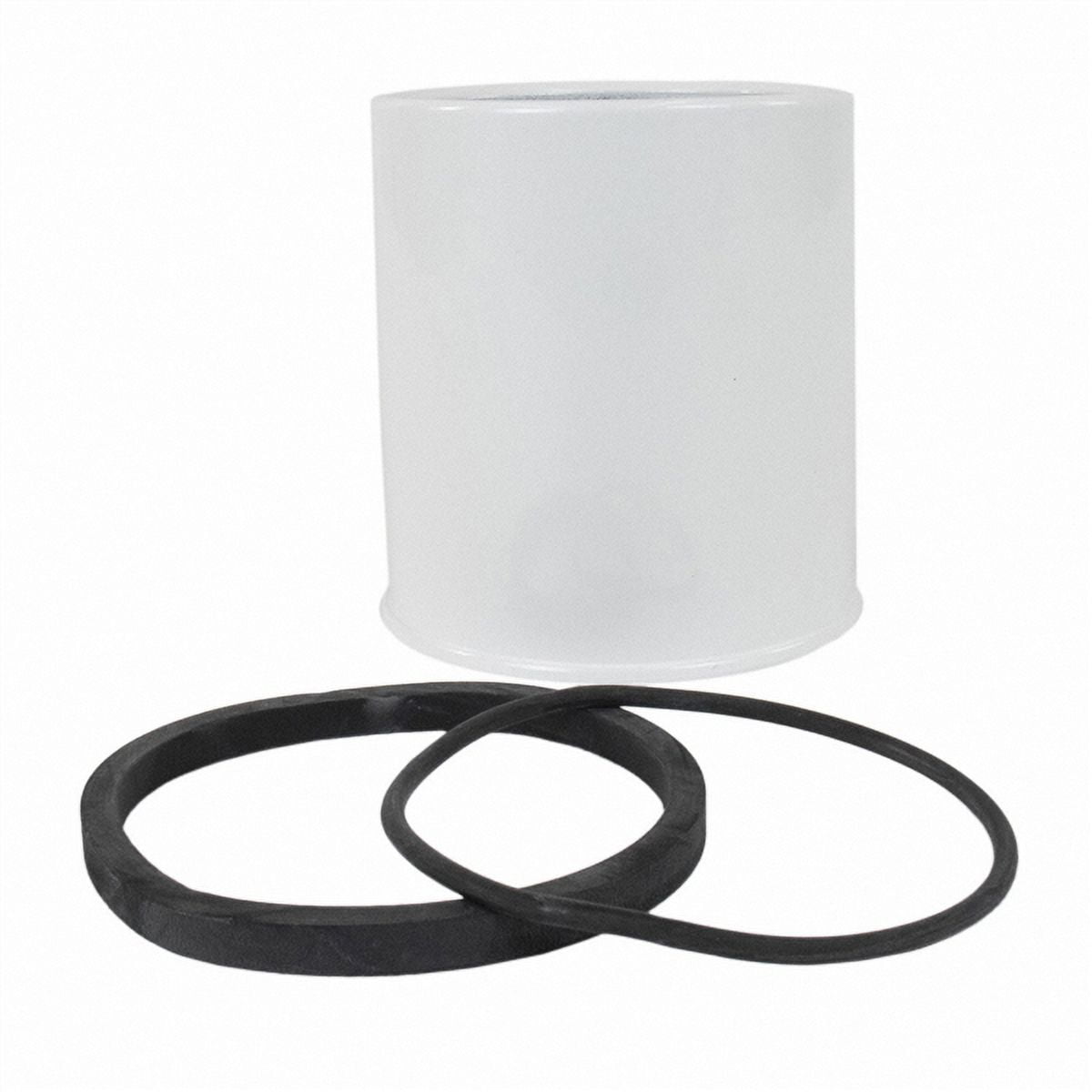 Motorcraft Fuel Filter FD-4597