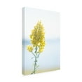thumbnail image 4 of Canvas Wall Art - Life BeautifuLEE 'Tiny Yellow Boquets 4' Wall Art for Living Room, Bedroom, or Office Décor by Trademark Fine Art - 22 x 32 Inches, 4 of 4
