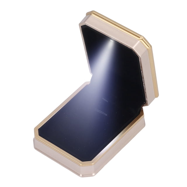 Vitrina Del Almacenamiento De La Joyería, Caja De Regalo Compacta Interior Del Collar Para Los Pendientes