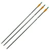 "Safari Choice Archery 31.5"" Fiberglass Hunting Arrows 8mm, 3pc pack"