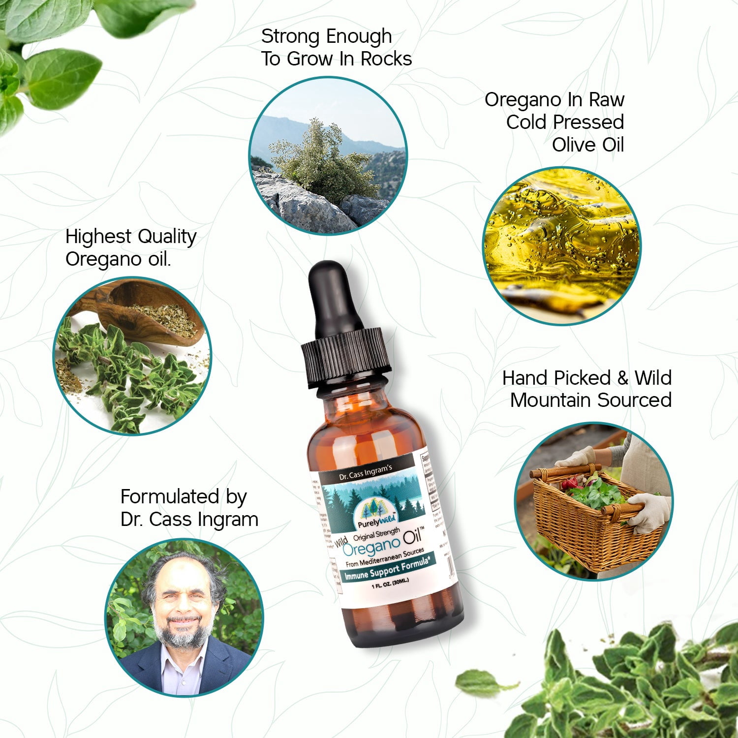 Dr. Cass Ingram's Extra Power Wild Mediterranean Oregano Oil &ndash; 1 fl oz | Potent Oil of Oregano for Immune Support