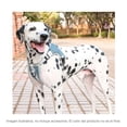 thumbnail image 3 of Pechera Para Perros, Arnes De Seguridad Ajustable MATCHI Magenta, 3 of 3