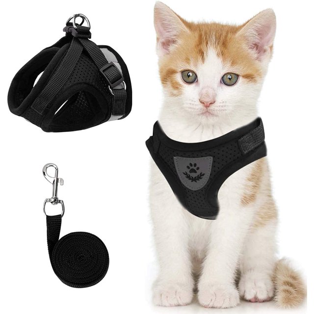 GFDYREE Cat Vest Harness and Small Dog Vest Harness for Walking, All Weather Mesh Harness, Cat Vest Harness with Reflective Strap, Step in Adjustable Harness for Small Cats (Black, XS)