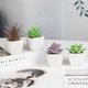 thumbnail image 3 of imitación verdes surtidas en macetas, pequeñas plantas suculentas artificiales con maceta de madera para el hogar, oficina, sala de estar, mesa, escritorio, decoración de plantas, juego de 4, 3 of 5