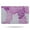 Purple Floral and, variant on Purple Floral and Petal Pattern Bathroom Rugs Mat,Non Slip Microfiber Bathroom Rug,Rubber Backing,Soft Bathroom Mats for Bathroom Floor,Tub and Shower,17x27in(43x68cm)