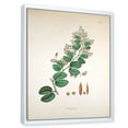 thumbnail image 4 of Ancient Botanicals XIII 30 in x 40 in Framed Painting Canvas Art Print, by Designart, 4 of 5