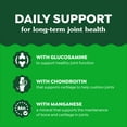 thumbnail image 5 of Greenies Supplements Chicken Flavor Hip and Joint Chews for Dogs, 6.08 oz Pouch, 30 Count, 5 of 13