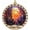 Bird 9, variant on Personalized Christmas Suncatcher Bird, Bird Ornament, Bird Present Ideas, Bird for Trees - 2075TG16 OlHpJf (Bird 9)