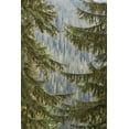 thumbnail image 2 of Paulson, Don 23x32 White Modern Wood Framed Museum Art Print Titled - WA, Mountain hemlock trees frame a distant forest, 2 of 4