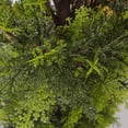 thumbnail image 6 of LINBONIO Artificial Cedar Tree 3 ft Artificial Topiary Trees Beautiful Realistic Faux Cedar Pines UV Protection for Longer Life 2Pack, 6 of 8