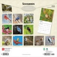 thumbnail image 2 of Songbirds | 2026 12x24" (Hanging) Square Wall Calendar | Plastic-Free, 2 of 9