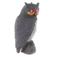 thumbnail image 1 of Owl Decoy Fake Bird Ornament for Swimming Pool B, 1 of 8