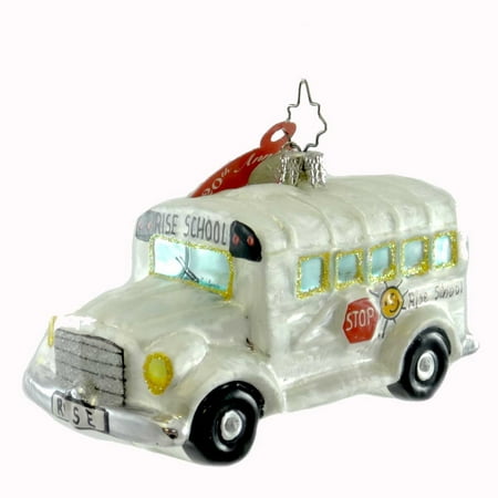 Charity Hospital Christmas Tree Christopher Radko THE RISE SCHOOL OF HOUSTON Ornament Charity Special Kids ()