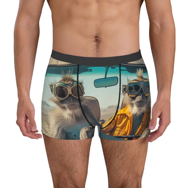 Lsque Desert Monkeys Motif Drive Boxeur-Briefs pour Hommes avec Pochette de Soutien Total, X-Temp Rafraîchissant, sous-Vêtements Anti-Humidité, Régulier, Jambes Longues et Trunk-Grand