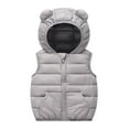 thumbnail image 2 of Gamivast Puffer Vest Kids Size 1-6 Cute Winter Zip up Sleeveless Down Jackets with Ear Hood Loose Fitted Warm Elastic Hem Coats with Pockets for Baby Boys Girls, 2 of 6