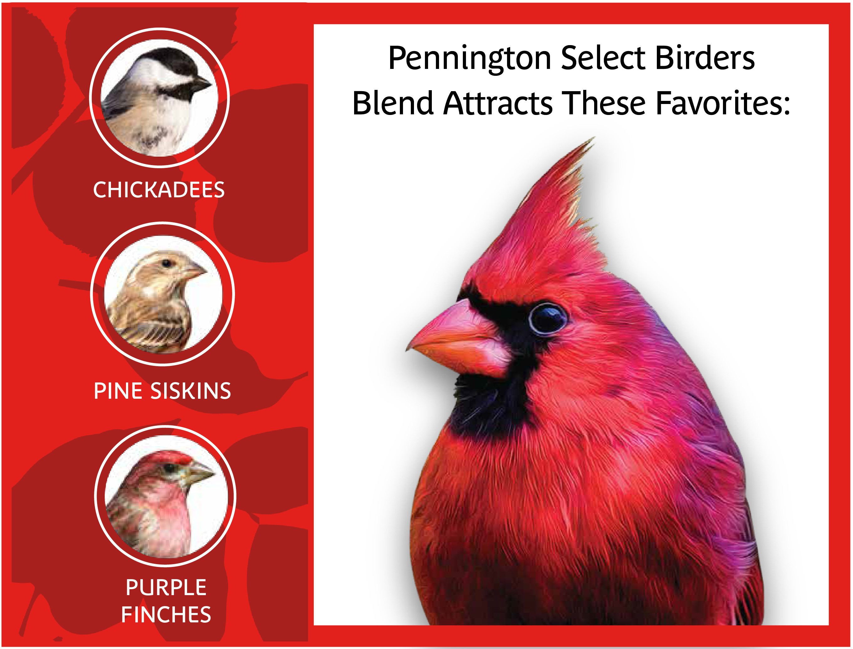 Pennington Select Birder's Blend, Wild Bird Seed and Feed, 14 lb. Bag, 1 Pack, Dry - image 3 of 9