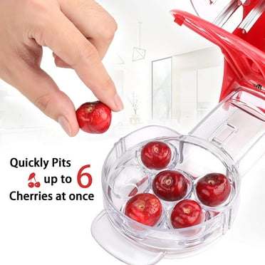 Eecoo Cheery Cherries Pitter Seed Removing Tool Home Office Travel Fruit Stone Extractor Seed Remover Cherry Pitter Walmart Com