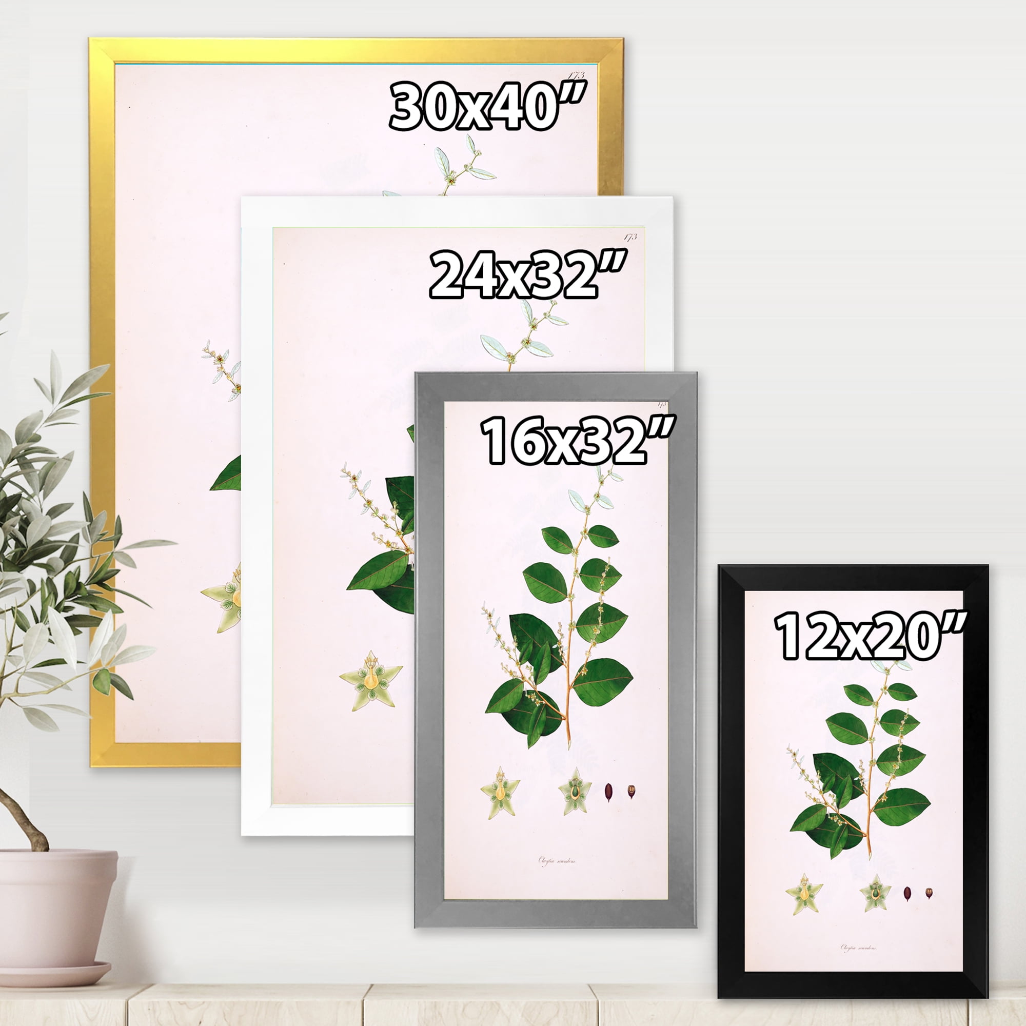 Designart 'Ancient Plant Life XVI' Farmhouse Framed Art Print