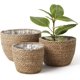 thumbnail image 1 of (3 paquetes) Cesta para plantas de césped, maceta para flores marinas, caché para decoración interior y exterior, cubierta para maceta, contenedores para plantas, Natural, 1 of 4