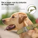 thumbnail image 2 of Collar De Perro Táctico Collar De Perro Militar Con Correa, 2 of 7