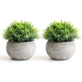 thumbnail image 1 of Hirsch Plantas falsas para decoración del baño/oficina del hogar, pequeñas plantas artificiales de imitación para decoración del hogar (plantas en maceta), 2 uds., 1 of 5