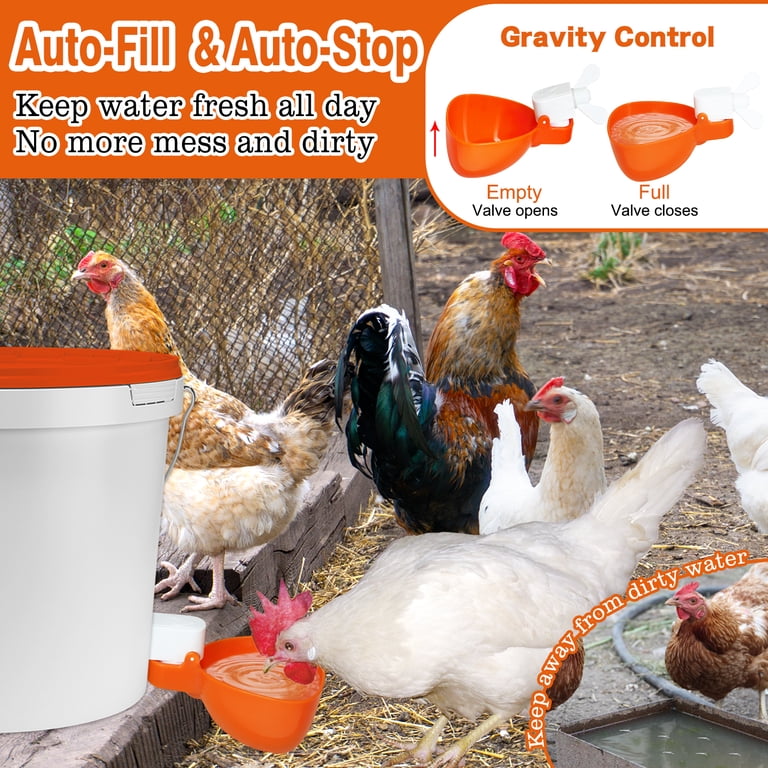 5-Pack Automatic Chicken Waterer Cups - 3/8 Inch Thread, Gravity Fed For Chickens, Ducks, Birds, Rabbits