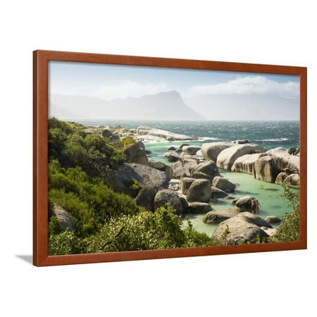 - Second Beach at High Tide with Boulders Visible, Boulders Beach National Park, Simonstown Framed Print Wall Art By Kimberly Walker