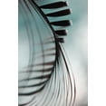 thumbnail image 2 of Jenny Rainbow Fine Art 11x14 Black Ornate Wood Framed with Double Matting Museum Art Print Titled - Shadow Twist, 2 of 4