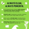 thumbnail image 3 of Detergente Molly's Suds Clean para lavavajillas, 120 tabletas, 3 of 8