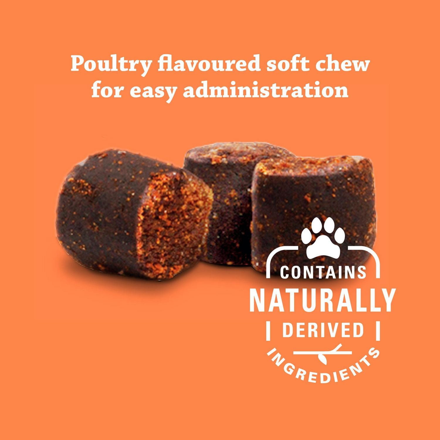 Synovi G4 supplément articulaire à mâcher pour chiens de tous âges, tailles et races