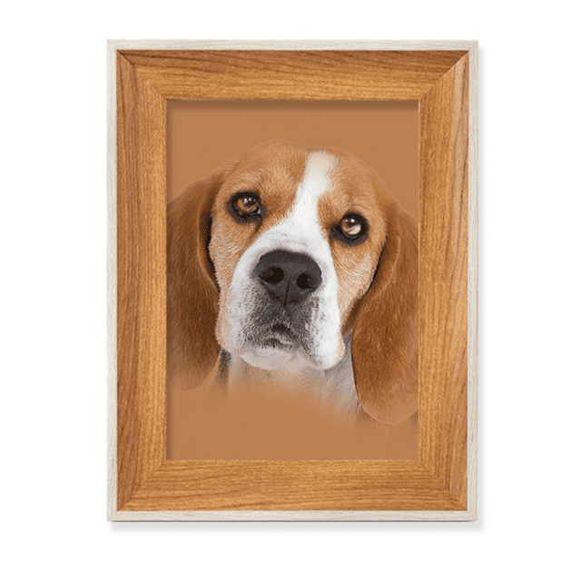 Nariz de perro Escritorio Marco de fotos de madera Pantalla Imagen Arte Pintura Múltiples conjuntos