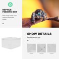 thumbnail image 4 of BRIGHTFUFU Caja de acrílico para reptiles, contenedor de alimentación para mascotas trepadoras, caja de cría transparente, 4 of 8