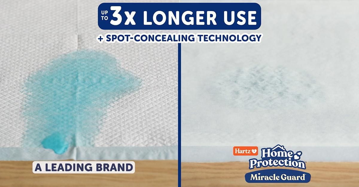 Hartz Home Protection 2XL Miracle Guard Pee Pads and Training Pads for Puppies and Adult Dogs, 2XL 20ct Dog Pad (30"x30")