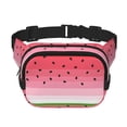 thumbnail image 1 of Disketp Watermelon Riñonera de Doble Capa, Bolsa de Cintura Ajustable para Viajes, Correr y Senderismo, Riñonera Ligera para Hombre y Mujer, 1 of 9