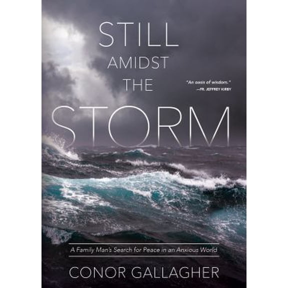 Pre-Owned Still Amidst the Storm: A Family Man's Search for Peace in an Anxious World (Paperback) 1505112664 9781505112665