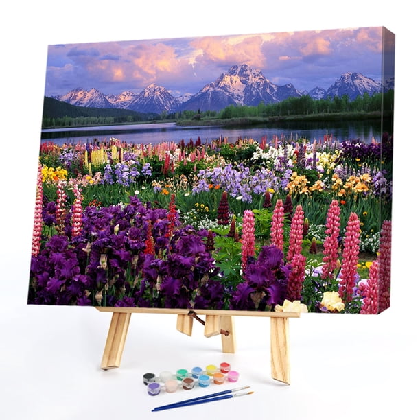 Cuadros Decorativos Cuadro pintado a mano de planta de racimo de flores pintura al óleo por números conjunto sin marco Ehuebsd Nuevos Originales
