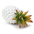 thumbnail image 4 of Artificial Succulent Potted Pineapple Decor - Fake Pineapple Home Office Kitchen Table Decoration (White), 4 of 6