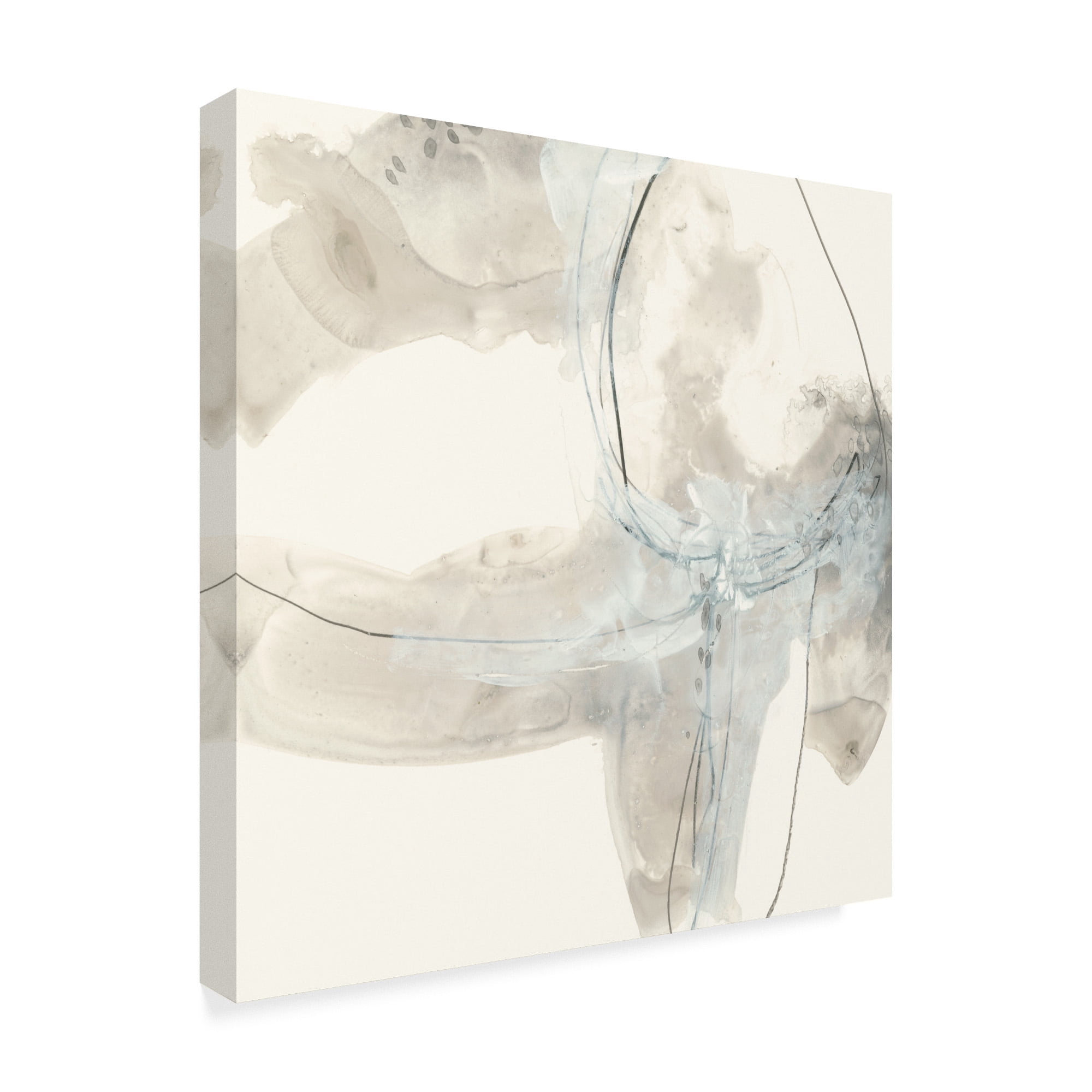 Trademark Fine Art 'Divination IV' Canvas Art by June Erica Vess