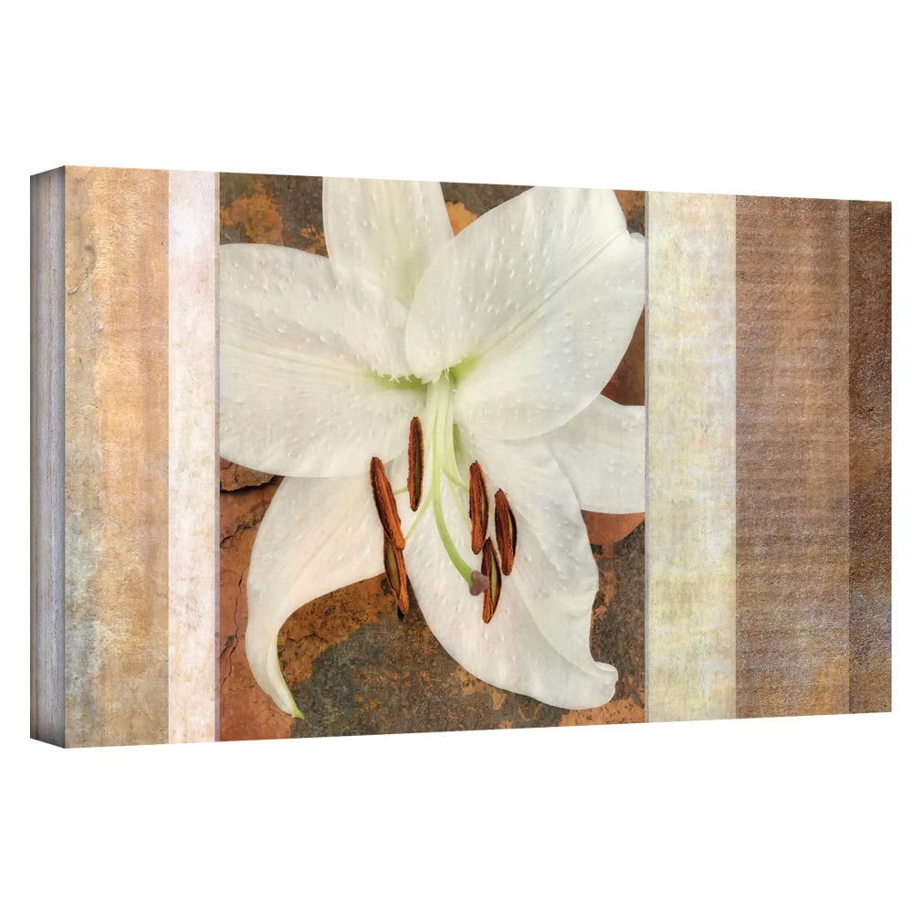 ArtWall Cora Niele "Ivory" Gallery-Wrapped Canvas