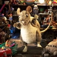 thumbnail image 3 of Hand Puppet Folkmanis Pack Rat Marrón y Beige, 3 of 5