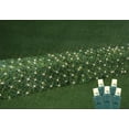 thumbnail image 1 of Novelty Lights 2x10 Net Lights, 100 Warm White LEDs with 4 Inch Spacing, 5mm Wide Angle Bulbs on Green Wire, Connectable End To End, Outdoor Weather Resistant Pillar and Tree Trunk Lighting, 1 of 6