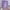 Purple, variant on Home Decor Window Floral Scarf Pink Door Curtain Divider Room Print Voile Curtain Home Decor Blackout Curtains Shower Drapes Set 200 x 100cm 1 piece