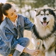 thumbnail image 3 of Blasgw 3-in-1 Rechargeable Pet Grooming Brush with Steam Spray - Ideal for Dogs and Cats New Rechargeable 3 In1 Steamy Pet Brush Cleanser Pet Comb With Steam Spray Comb Pet Hair Brush Coffee, 3 of 9